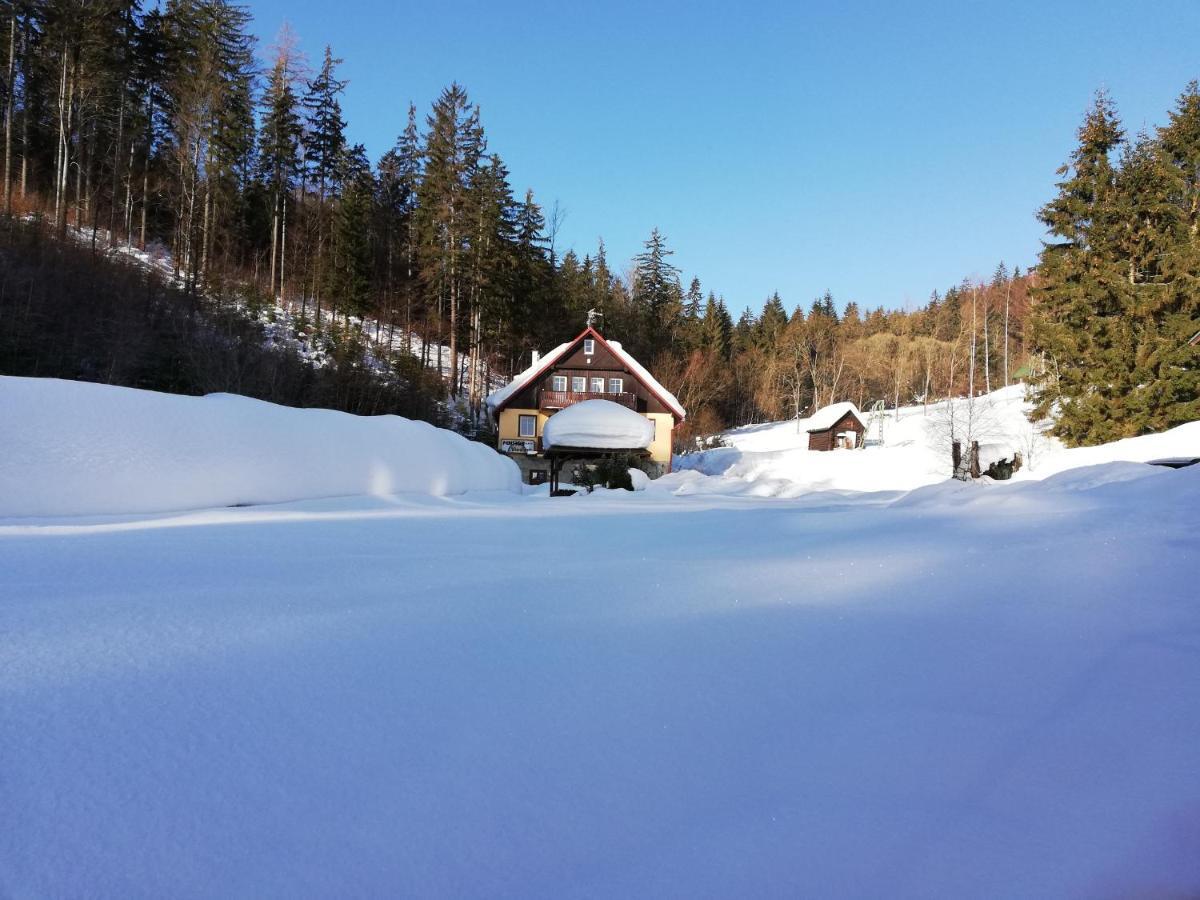 Pension Vladimir Janske Lazne Luaran gambar